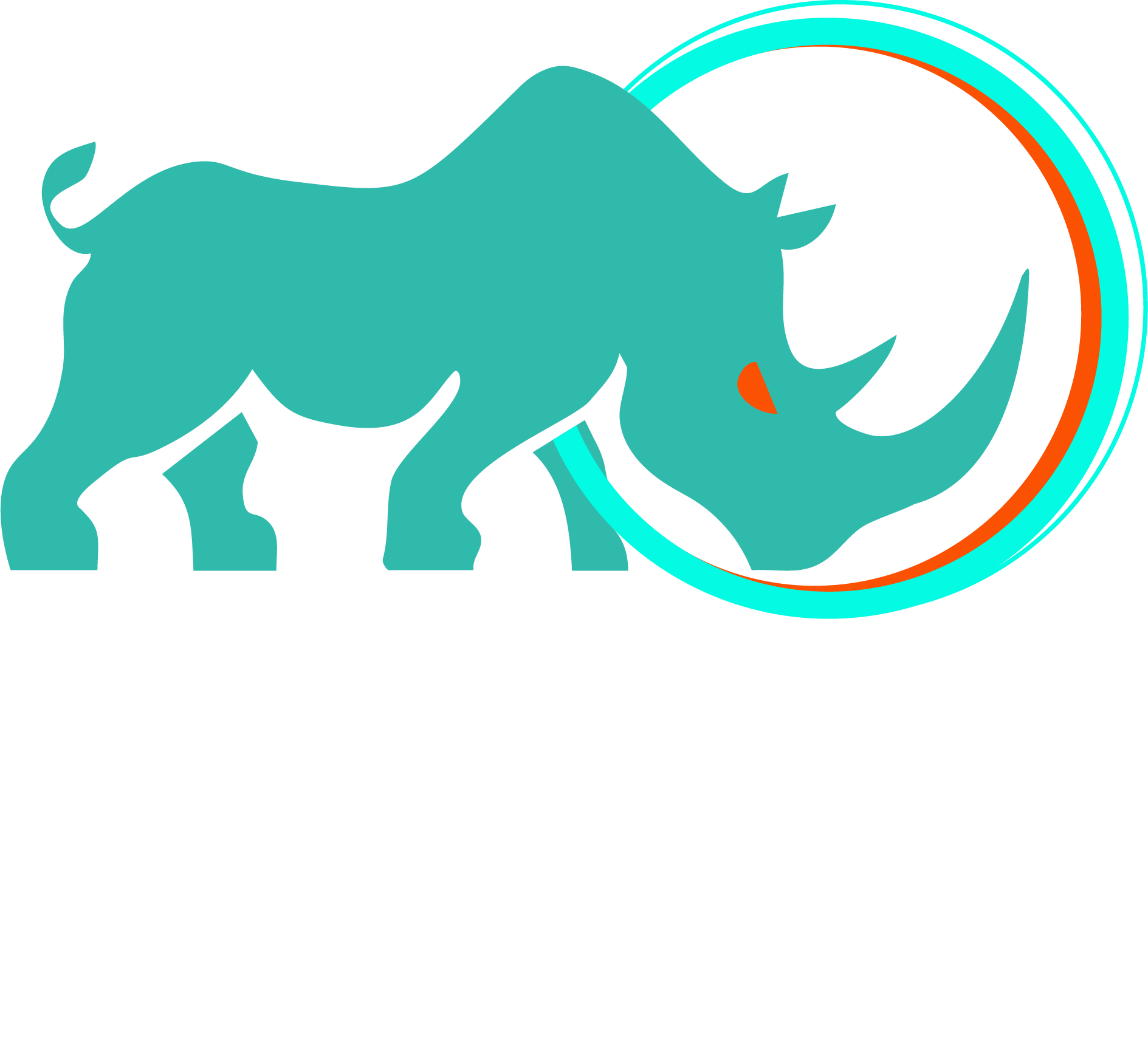 RINO Conseil